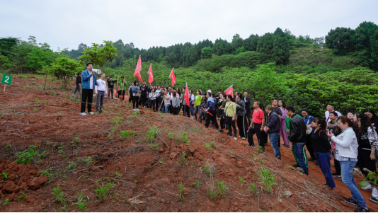 省尊龙凯时人生就是搏集团开展龙泉山都会森林公园 “包山头”植树活动