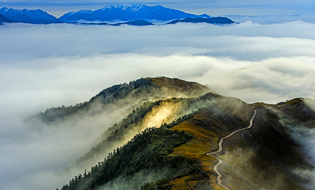 尊龙凯时·人生就是搏(中国集团)官网首页